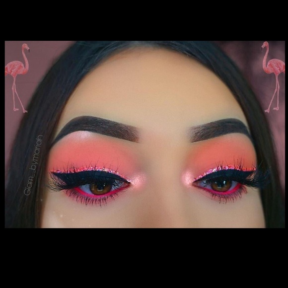 Meet your Posher, Sammy - Picture 1 of 1